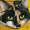 Custom Cat Portrait Callie calico oil painting original traditional realistic fine art