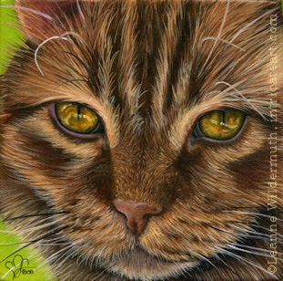 Custom Cat Portrait Simba orange tabby oil painting original traditional realistic fine art