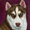 Custom Dog Portrait Jambalaya red white husky oil painting original traditional realistic fine art leanne wildermuth