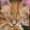 Custom Cat Portrait Soubi orange tabby kitten oil painting original traditional realistic fine art