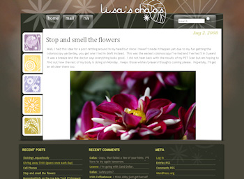 Lisa's Chaos custom blog design wordpress theme