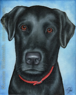 Custom Dog Portrait Caesar black lab Labrador retriever oil painting original traditional realistic fine art leanne wildermuth