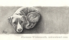 Custom Dog Portrait pit bull terrier brindle pencil portrait original traditional realistic fine art Leanne Wildermuth