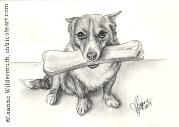 Custom Dog Portrait Foofur pencil graphite drawing art by Leanne Wildermuth