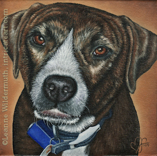 Custom Dog Portrait pit bull terrier Josie oil painting original traditional realistic fine art Leanne Wildermuth
