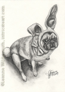 Custom pug dog portrait pencil graphite drawing art by Leanne Wildermuth