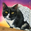 Custom tuxedo angel cat portrait oil painting art by Leanne Wildermuth