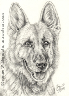 German Shepherd dog portirat pencil graphite drawing art by Leanne Wildermuth