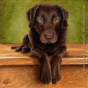 custom dog portrait chocolate lab oil painting art by Leanne Wildermuth