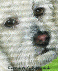 custom dog painting portrait close up poodle' class=