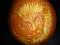 Pumpkin Carving Lions by Jackie Crawford