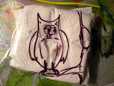 owl sandwich bag doodle