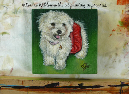 havanese bichon frise puppy dog custom oil portrait ' class=