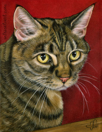 custom cat original oil pet portrait tiger cat commissioned painting fine art