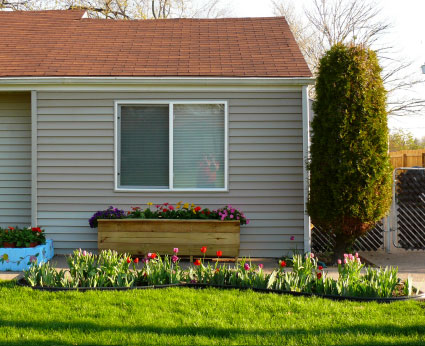 landscaping house planter box home made cheap daisies iris tulip