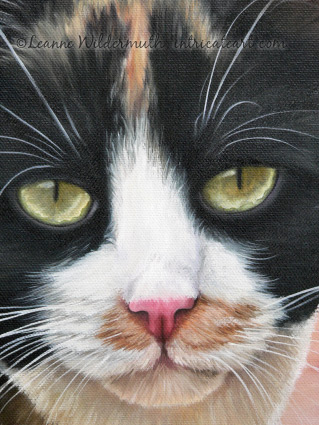 calico cat original oil painting portrait art artist leanne wildermuth