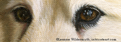 custom dog painting portrait close up eyes American Eskimo' class=
