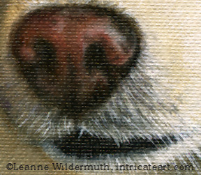 custom dog painting portrait close up nose American Eskimo' class=