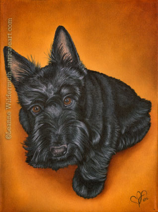 custom dog portrait  scottie   scottish terrier  oil painting