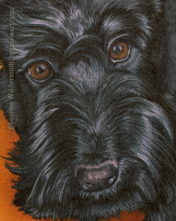 mactavish scottie pet  dog portrait  oil painting