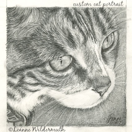 custom graphite pencil cat portrait original artist art' class=