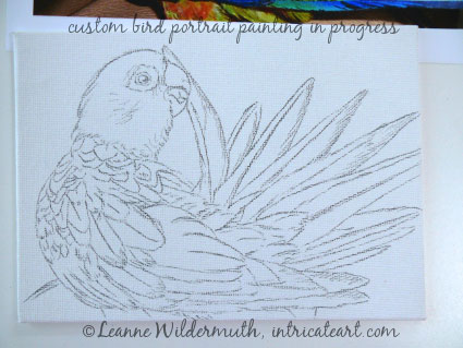 titto sun conure bird portrait custom oil painting original work in progress artist' class=