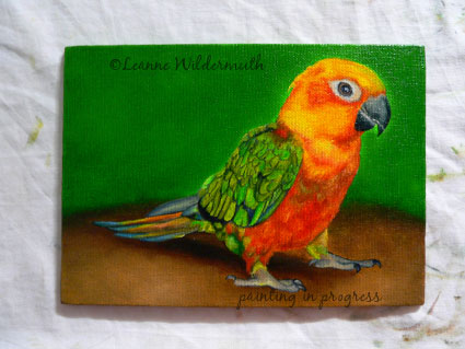 sun conure original oil painting custom pet bird portrait in progress leanne wildermuth