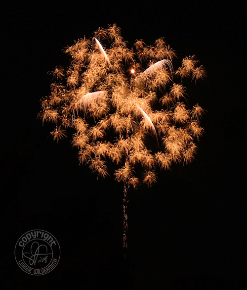 2008 bettendorf iowa fireworks 1 leanne wildermuth