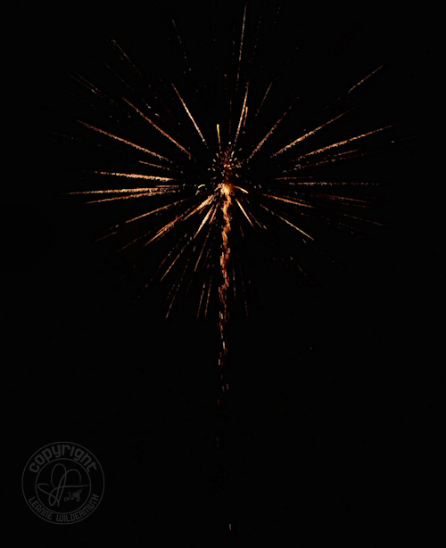 2008 bettendorf iowa fireworks 2 leanne wildermuth