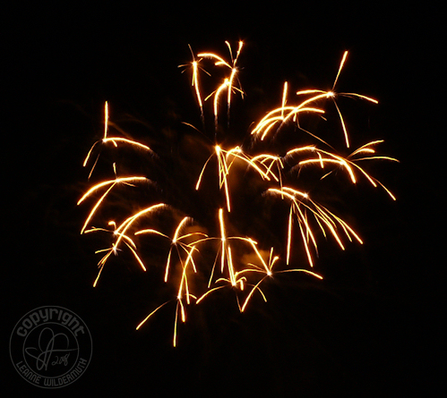2008 bettendorf iowa fireworks 4 leanne wildermuth