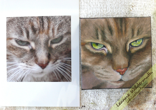 cat portrait oil painting progress by Leanne Wildermuth