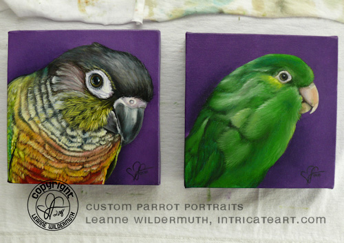 custom bird parrot portraits original oil paintings leanne wildermuth