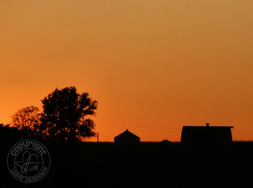 illinois farm horizon sunset leanne wildermuth