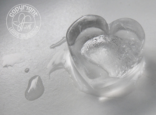 heart ice cube macro leanne wildermuth