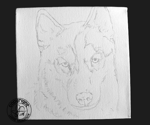 red husky portrait sketch leanne wildermuth