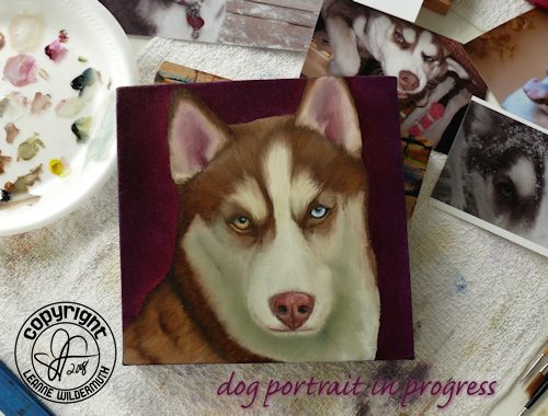 custom dog husky portrait oil painting leanne wildermuth
