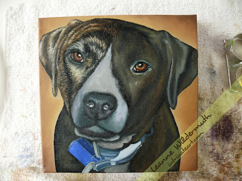 pit bull dog portrait oil painting by Leanne Wildermuth