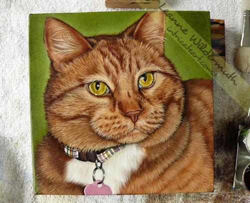 kona orange tabby cat painting work in progress 12