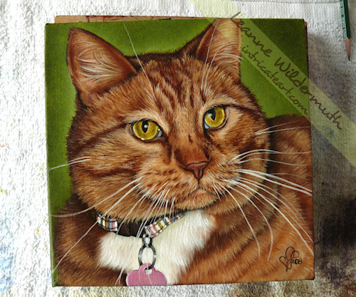 kona orange tabby cat painting work in progress 13