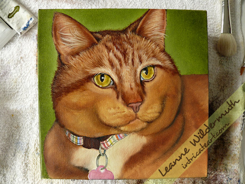 kona orange tabby cat painting work in progress 4