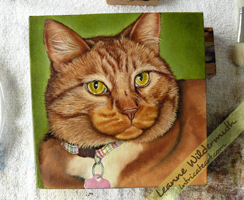 kona orange tabby cat painting work in progress 7