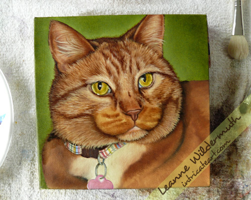 kona orange tabby cat painting work in progress 8