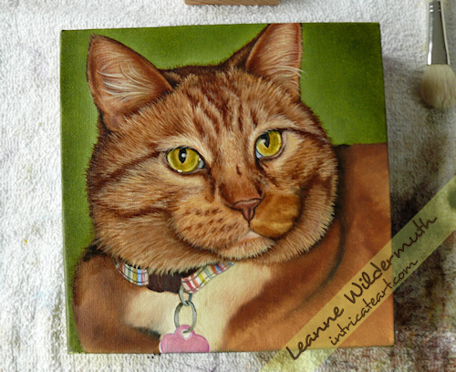kona orange tabby cat painting work in progress 9