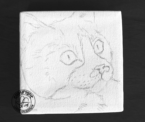 tuxedo cat portrait painting sketch leanne wildermuth