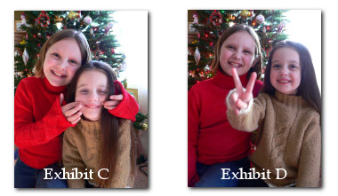 anatomy of a christmas portrait photography children girls