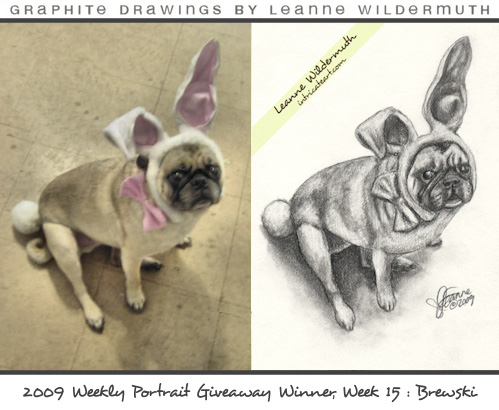 pug portrait pencil dog drawing by Leanne Wildermuth