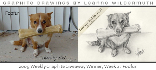 Custom pet portrait giveaway week 2 corgi dog drawing by Leanne Wildermuth