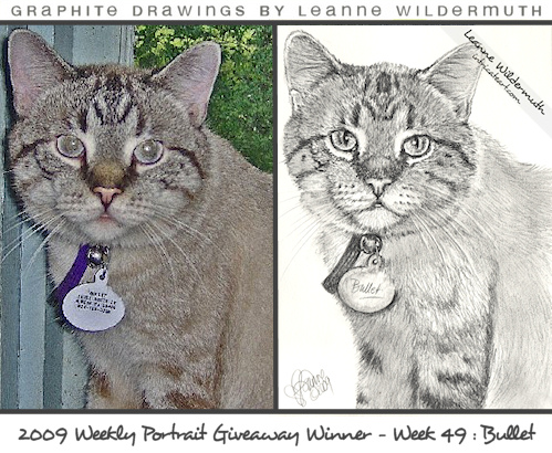 custom cat portrait art pencil drawing by Leanne Wildermuth