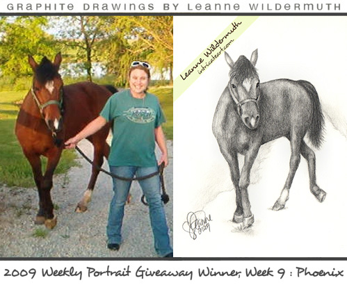 custom horse portrait pencil drawing by Leanne Wildermuth
