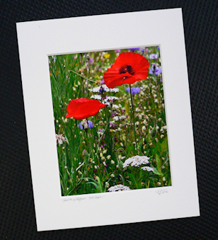 Print Extras : Mat to Frame
